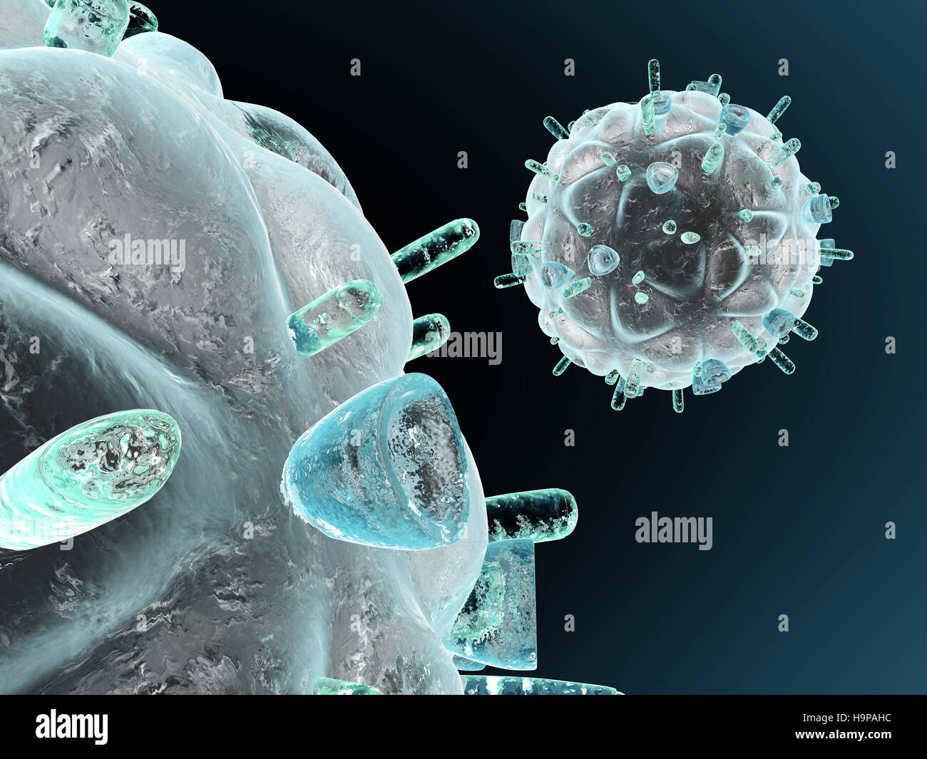Hiv In Body 3D Illustration of a HIV Virus in the Body Stock Photo - Alamy