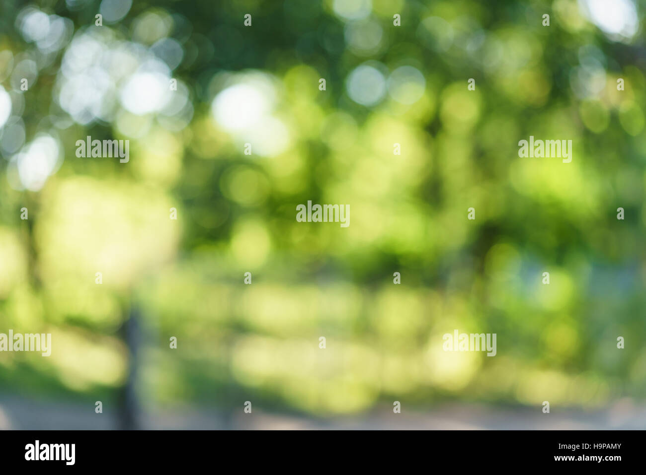 abstract summer bokeh blur background Stock Photo - Alamy