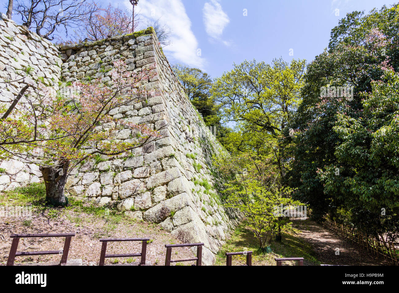 Japan, Akashi castle, Kishun-jo. Example of sloped corner of Nunozumi Ishigaki stone wall. Stones lined up across face of wall. Footpath at base. Stock Photo