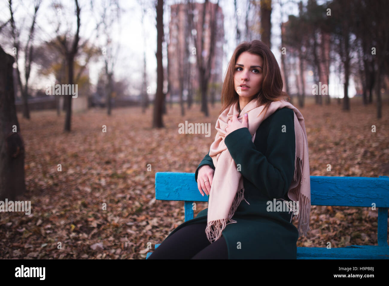 Beautiful young brunette woman sitting on a bench in autumn park Stock ...
