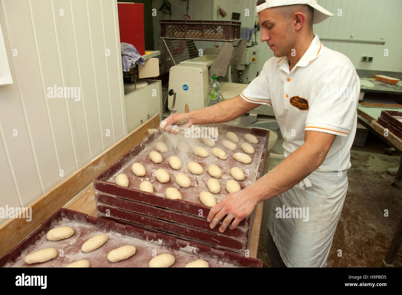 Deutschland, Köln, Bäckerei 'Der Brotspezialist' , Bäcker in der Backstube Stock Photo