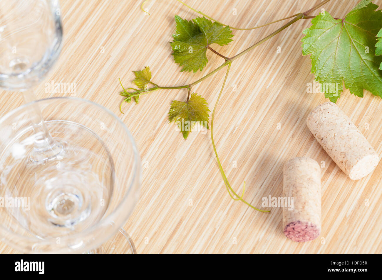 Wine bottle with vine and wine cork put on the board Stock Photo Alamy