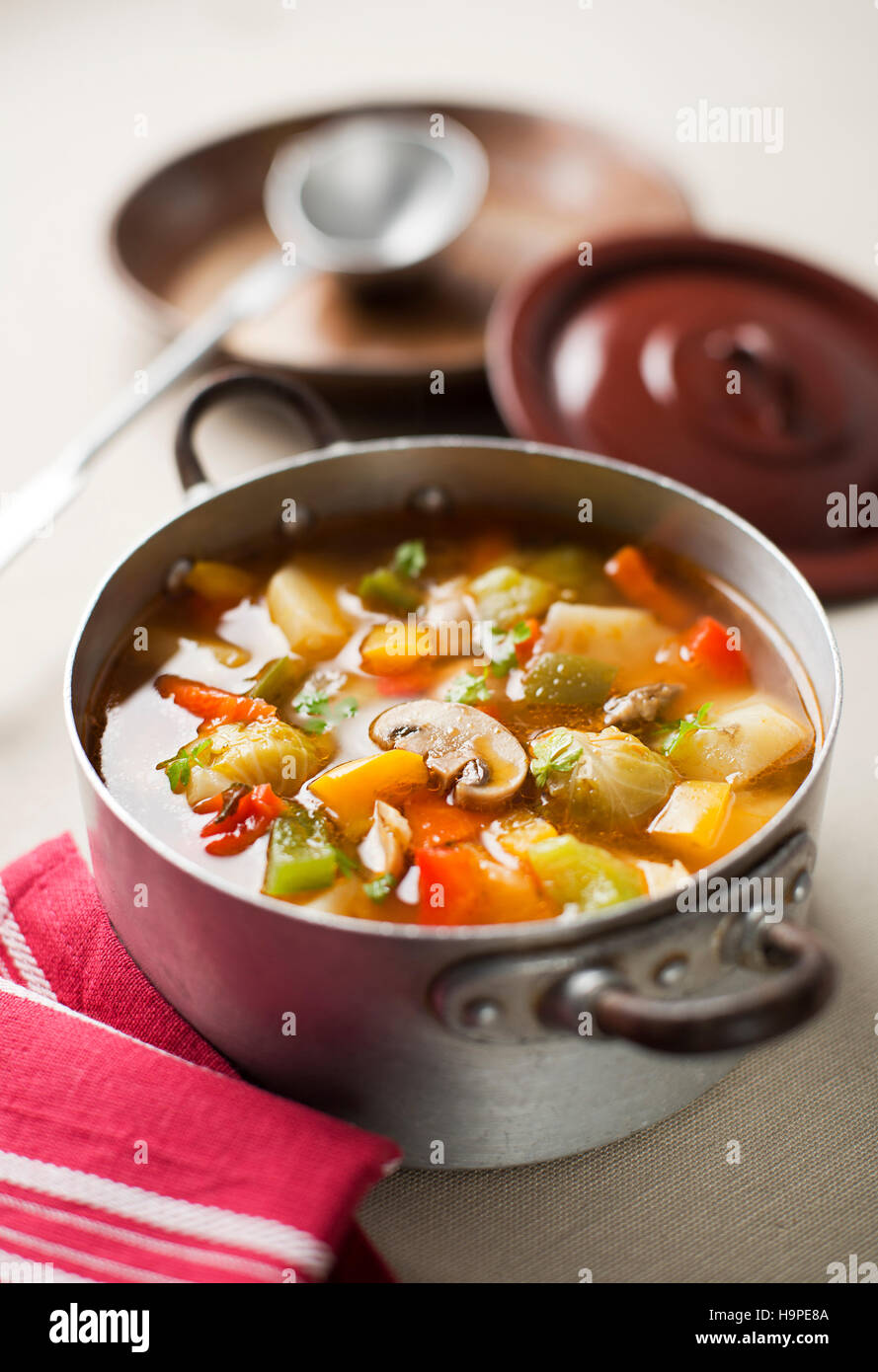 Healthy hot vegetable stew close up shoot Stock Photo