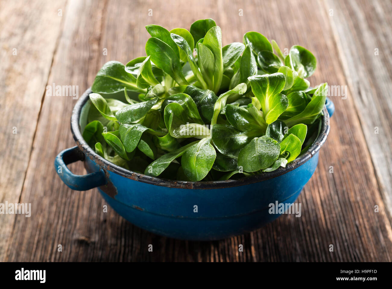 Valerianella lettuce in a bowl on wooden background Stock Photo