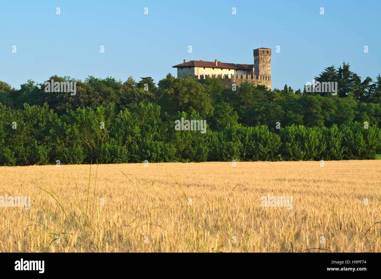 Sunset light at medieval Villalta castle with field of barley, Fagagna, Friuli, Italy Stock Photo