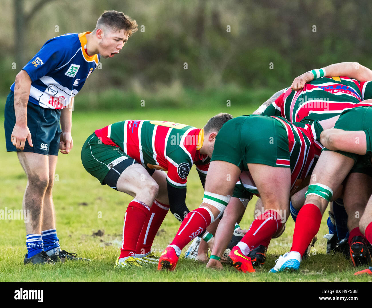 Rugby players playing rugby union Stock Photo Alamy