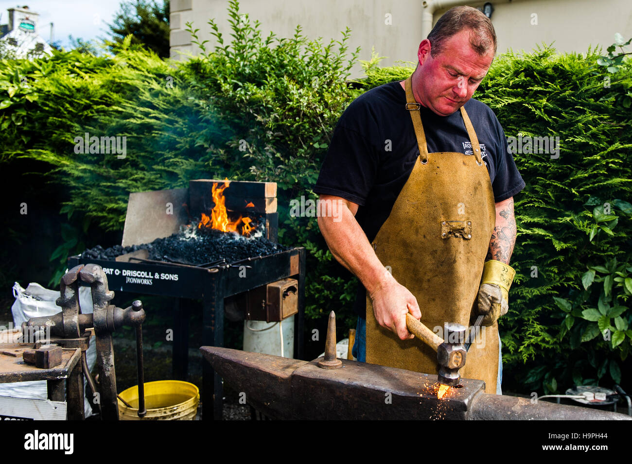 Pat odriscoll hires stock photography and images Alamy