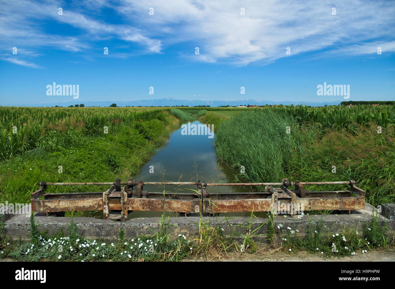 Summer view of a quiet river in the Venetian Plain with the Alps mountains in the background and some old weirs Stock Photo