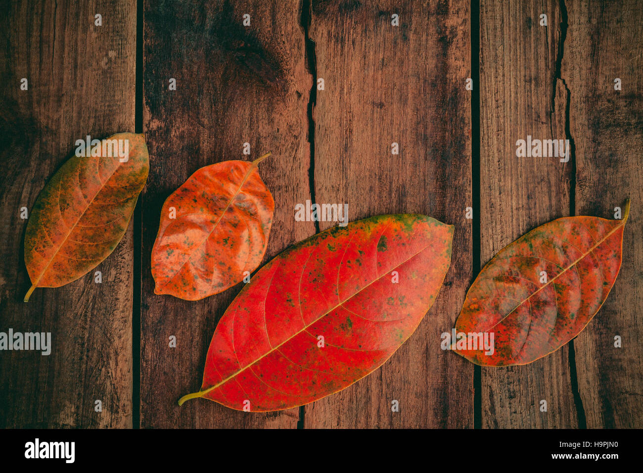 Autumn background with colored leaves falling on grunge wooden Stock ...