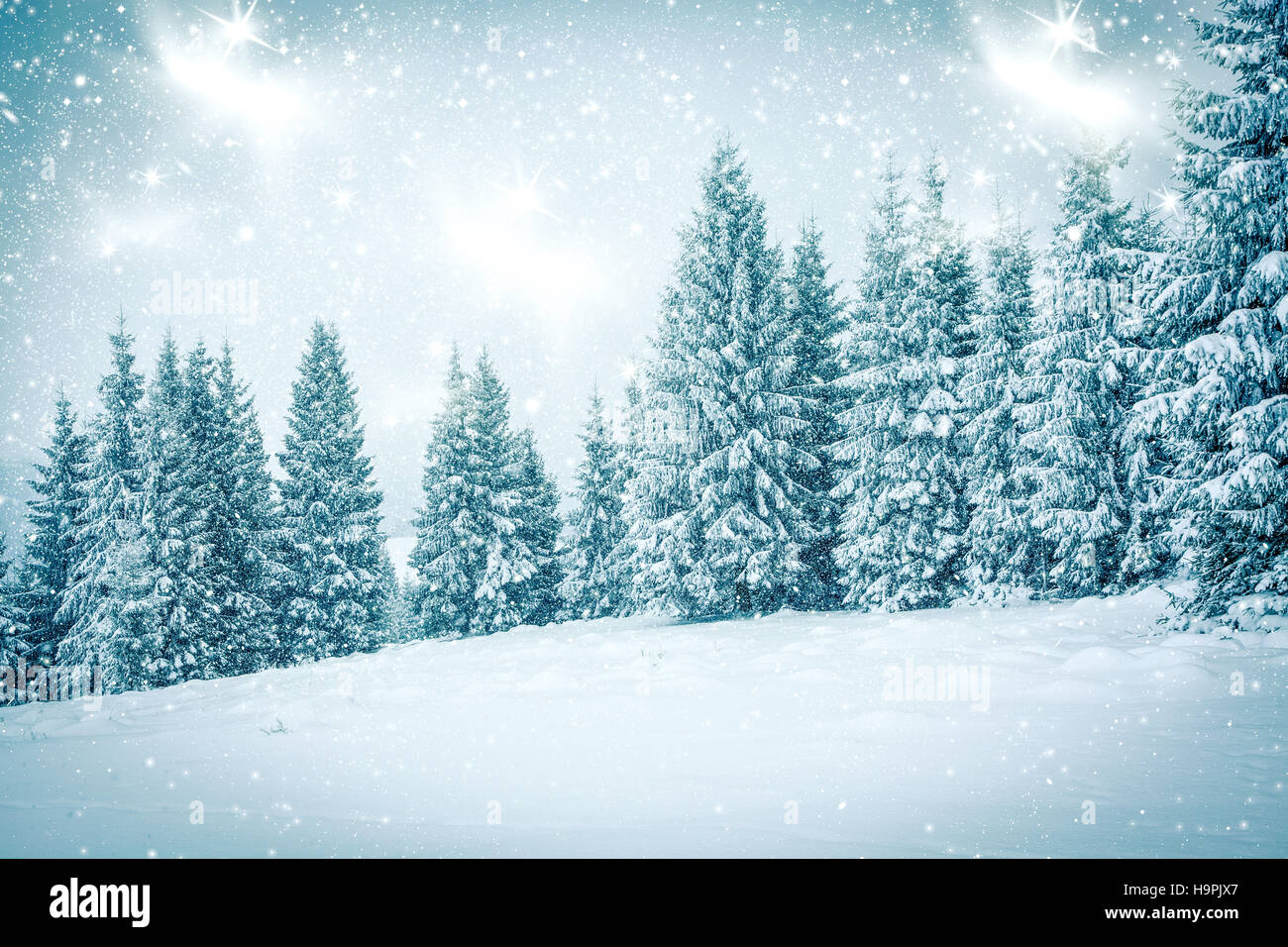 Christmas background with snowy fir trees Stock Photo - Alamy