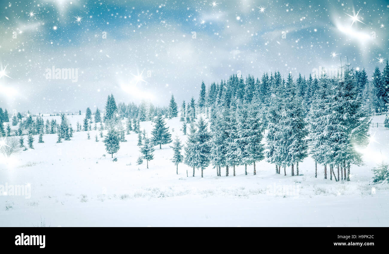 Christmas background with snowy fir trees Stock Photo - Alamy