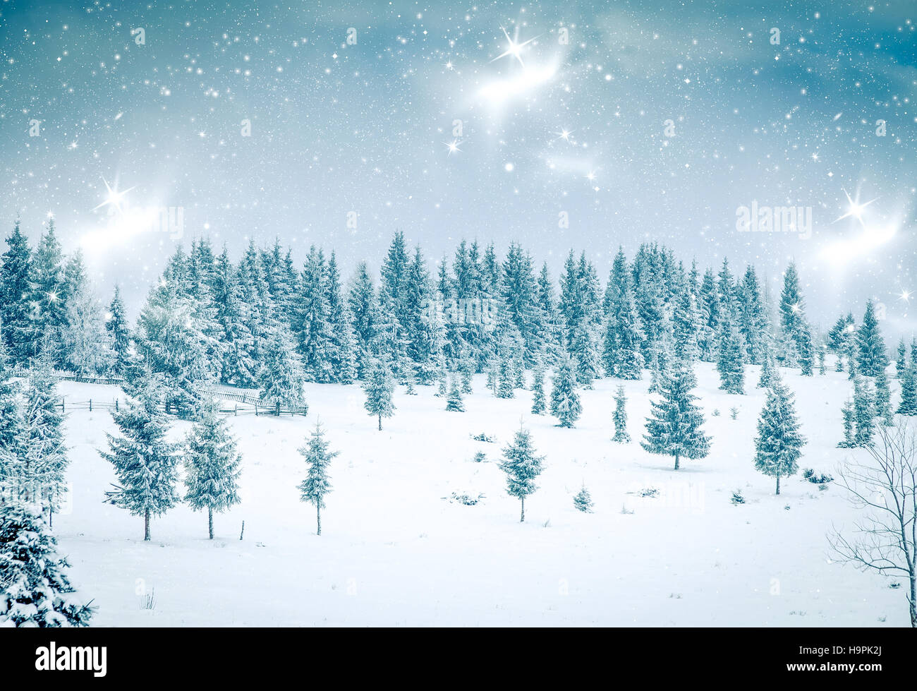 Christmas background with snowy fir trees Stock Photo - Alamy