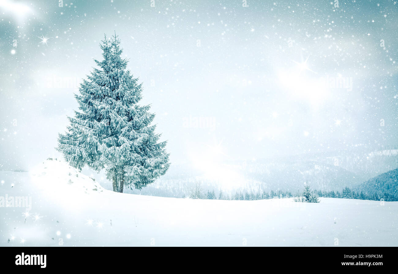 Christmas background with snowy fir trees Stock Photo - Alamy