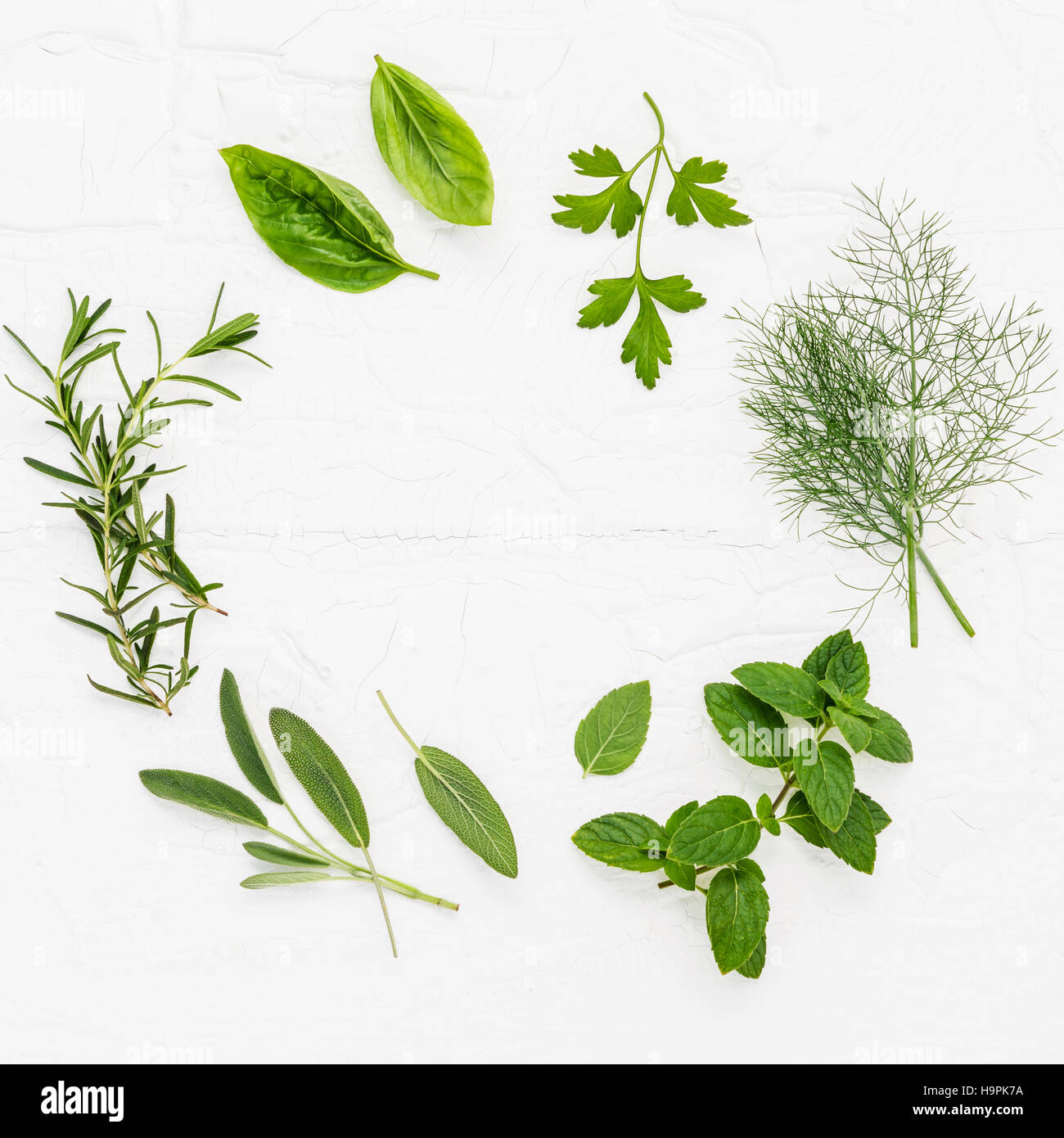 Various fresh herbs from the garden peppermint , sweet basil ,ro Stock Photo