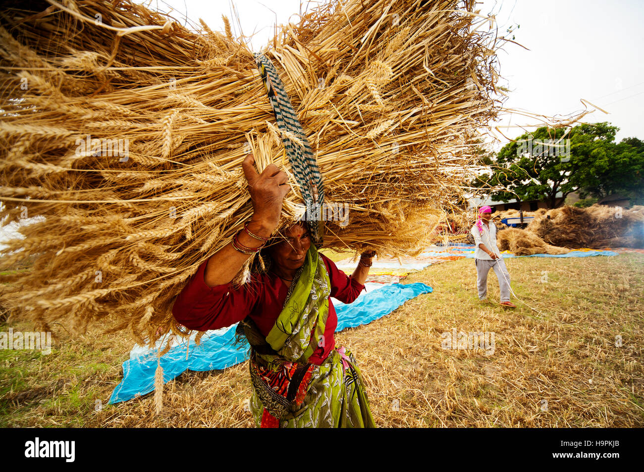 Photography in india hi-res stock photography and images - Alamy