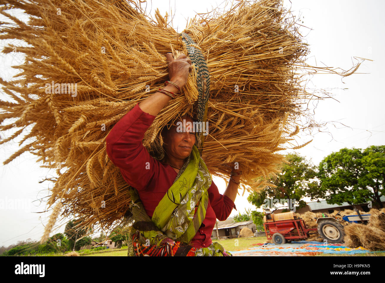 Photography in india hi-res stock photography and images - Alamy