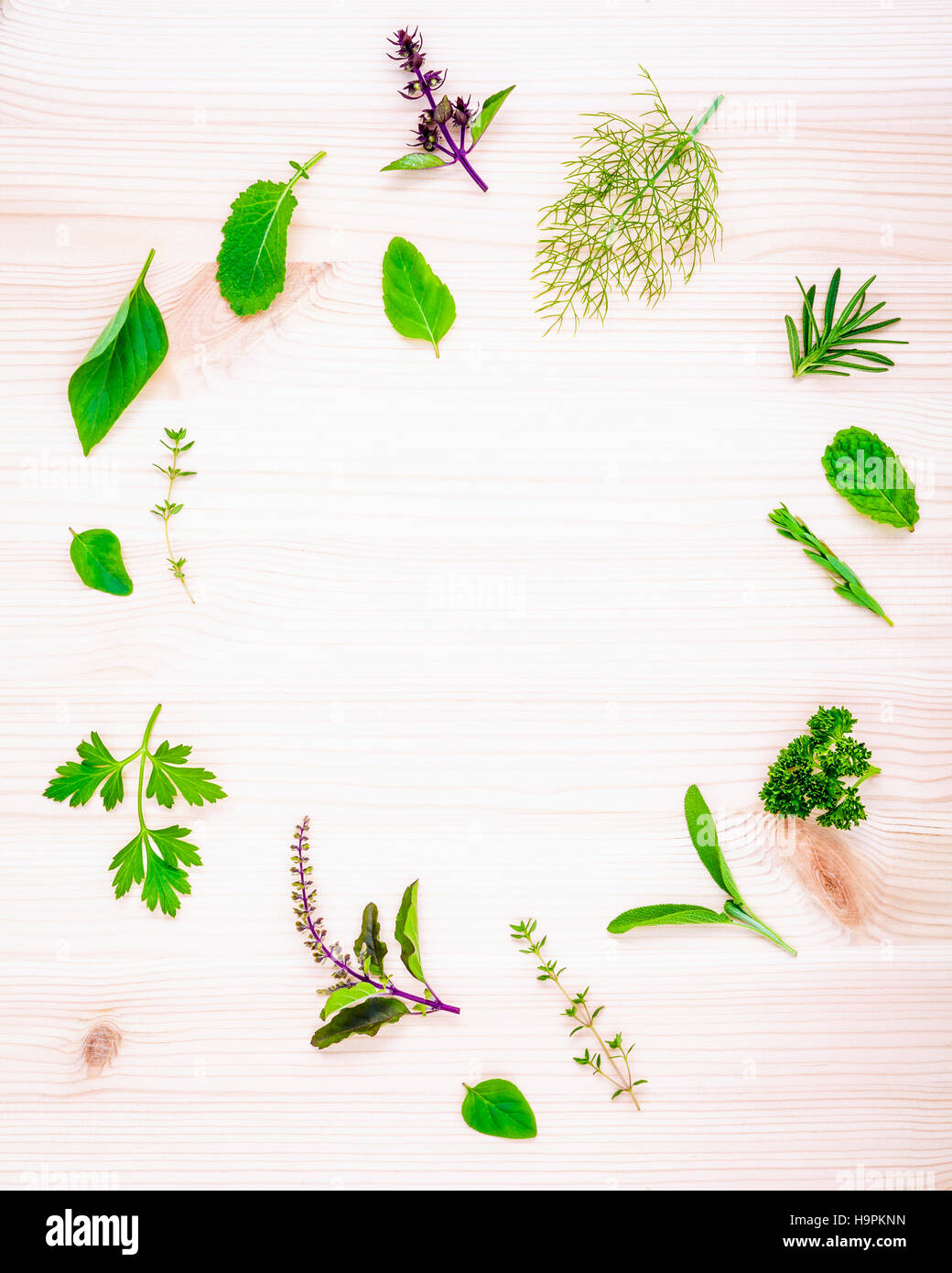 The circle of fresh herbs from the garden set up on white wooden Stock Photo