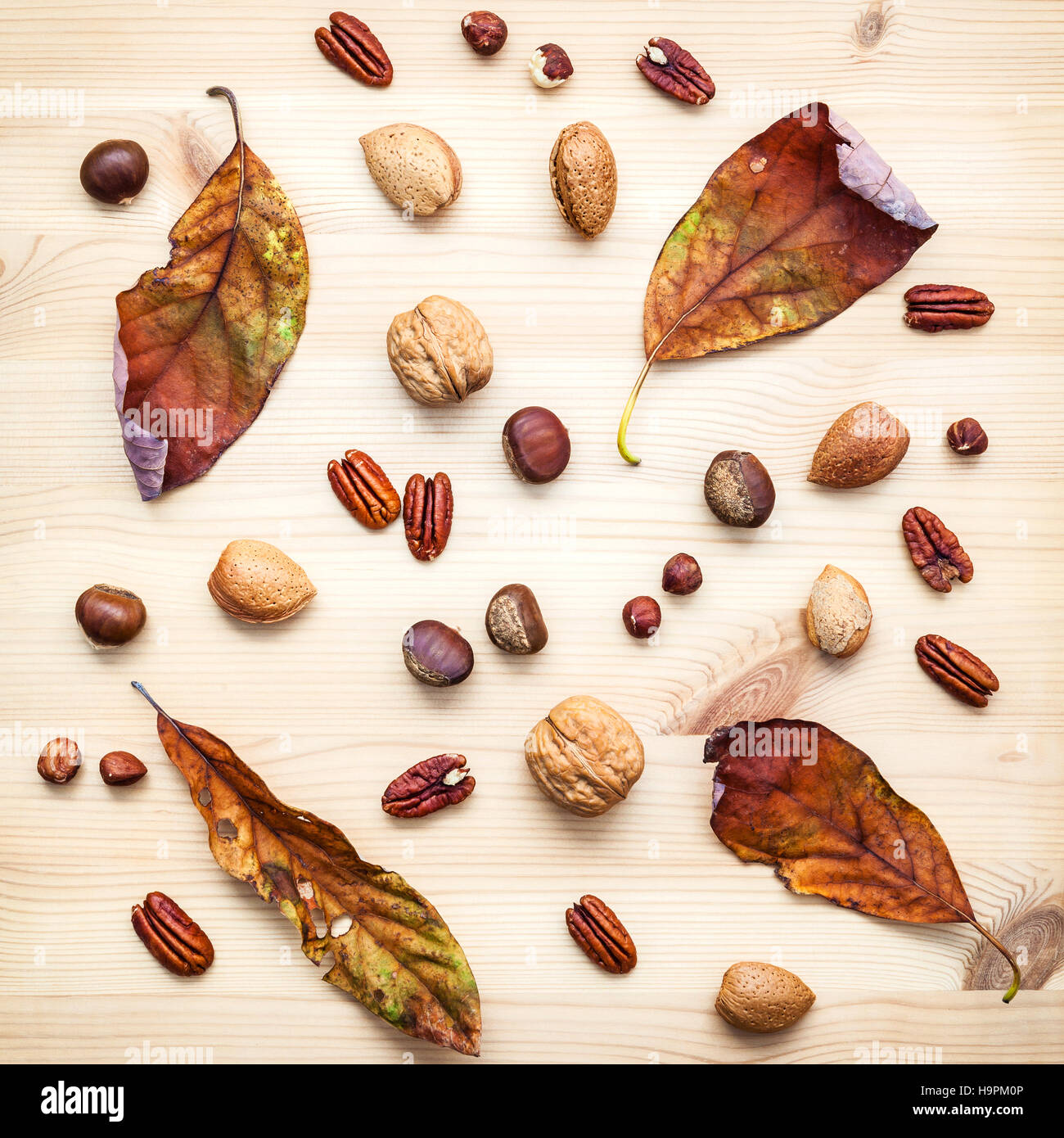 Different kinds of nuts walnuts kernels ,hazelnuts, almond kerne Stock