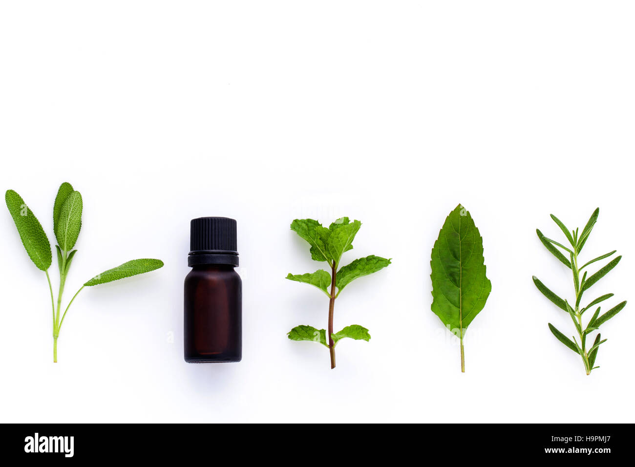 Bottle of essential oil with herb holy basil leaf, rosemary,oreg Stock Photo Alamy