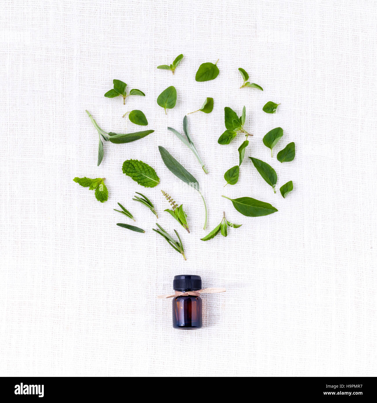 Bottle of essential oil with herb holy basil leaf, rosemary,oreg Stock