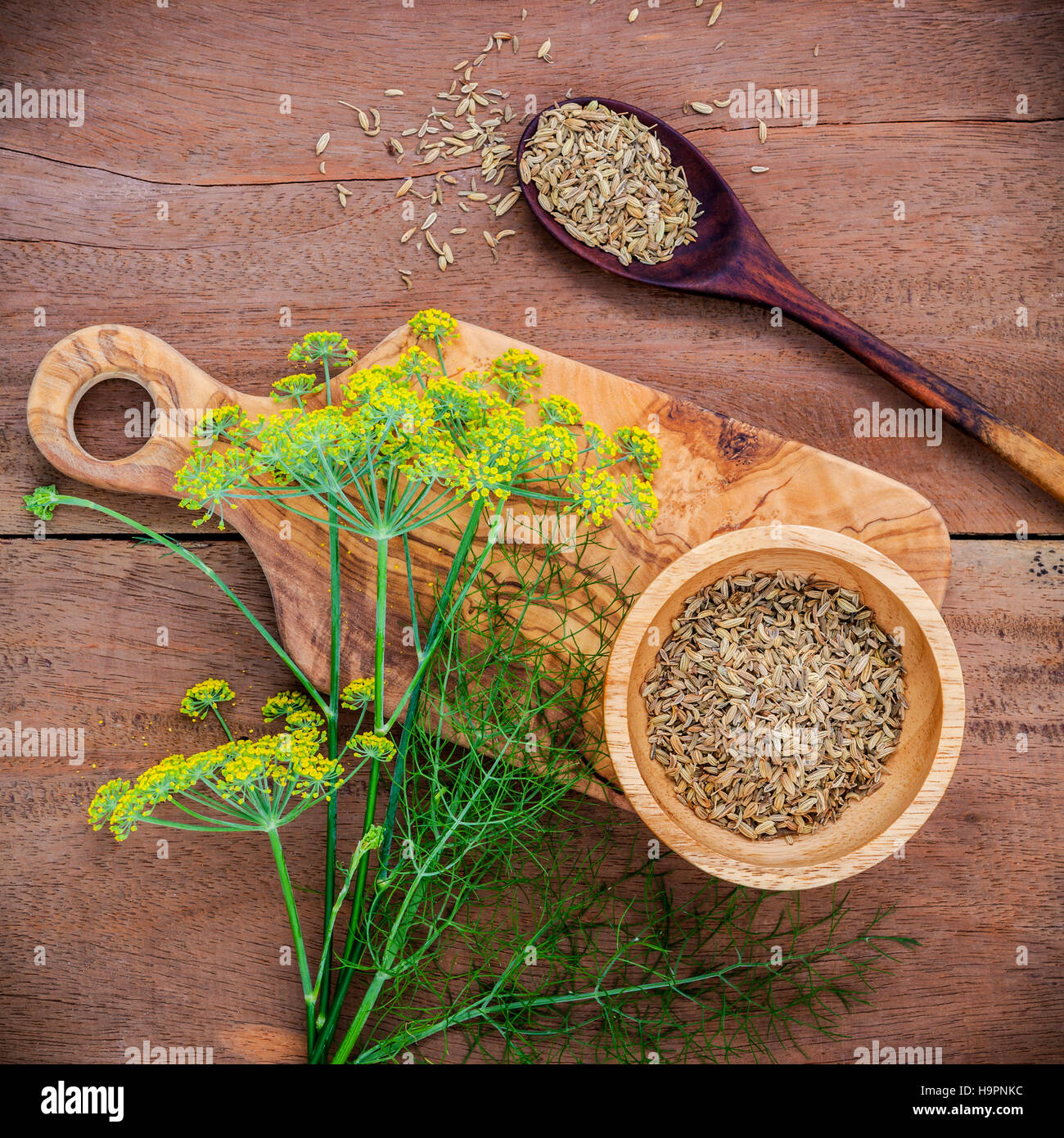Close up blossoming branch of fennel and dried fennel seeds on r Stock Photo