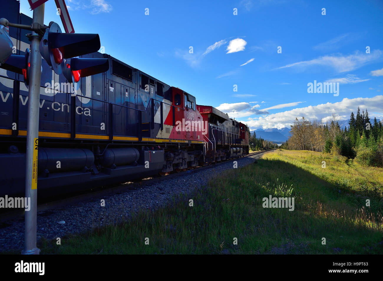A C.N., freight train traveling toward the rocky mountains of Alberta Canada. Stock Photo