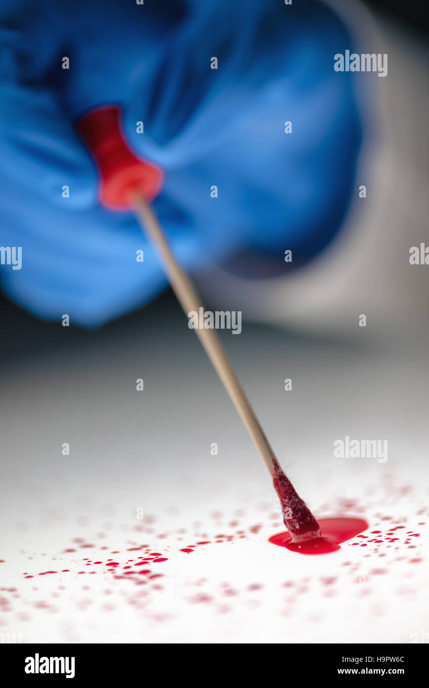 Forensic technician taking DNA sample from blood stain with cotton swab