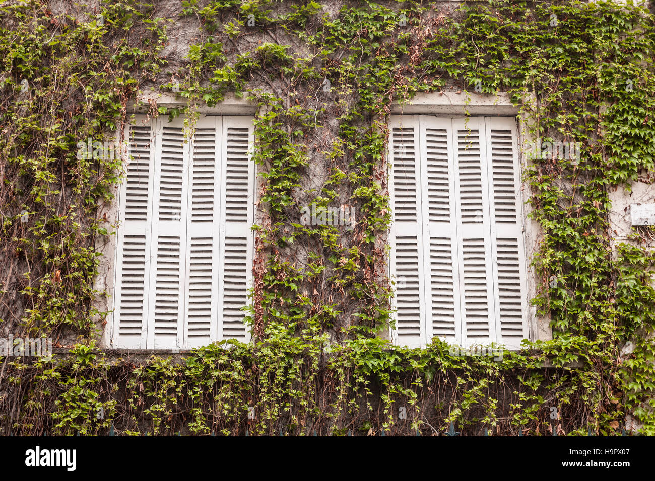 A typical pair of French windows and shutters in Tours, France Stock