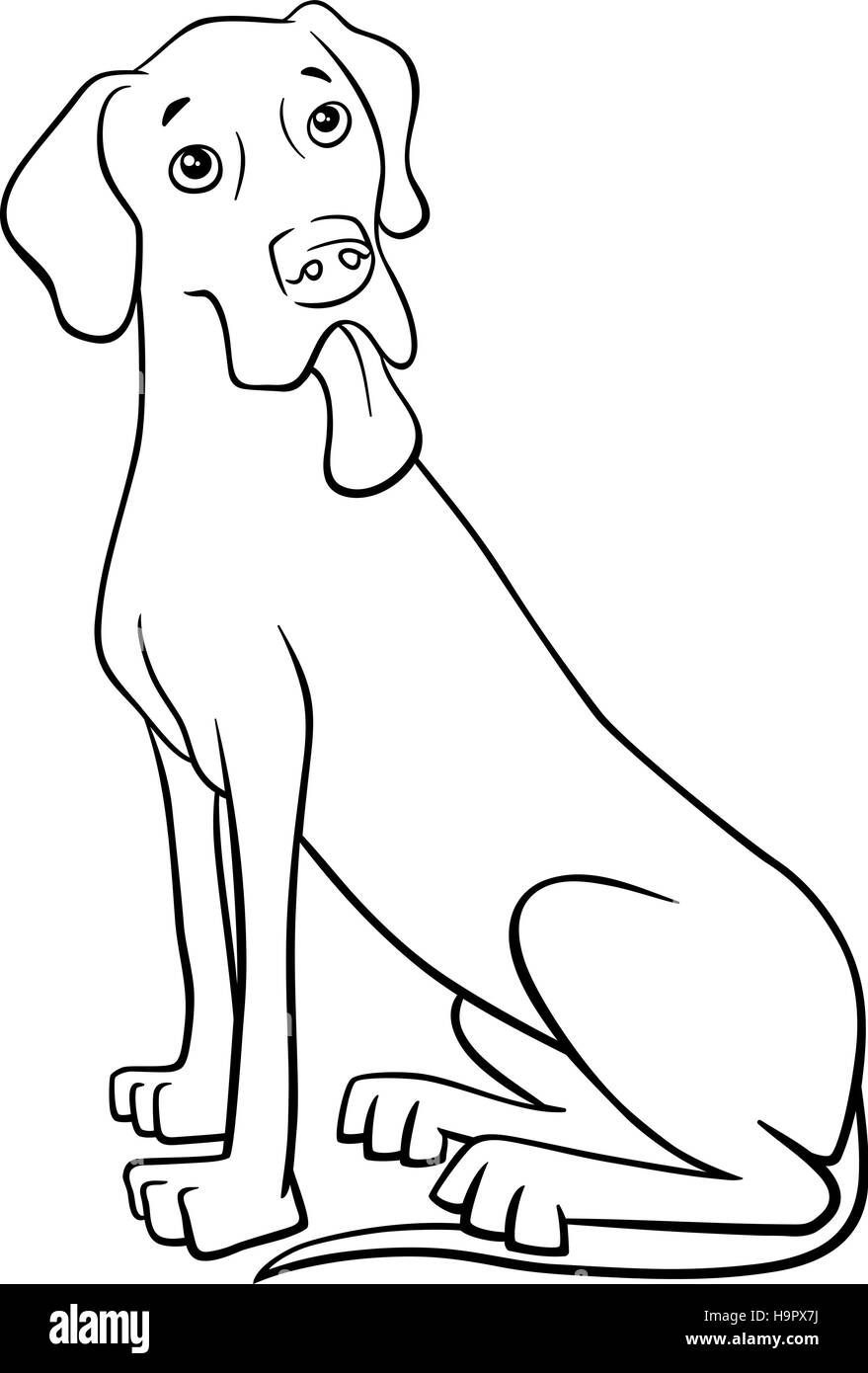 Black and White Cartoon Illustration of Great Dane Dog Stock Vector