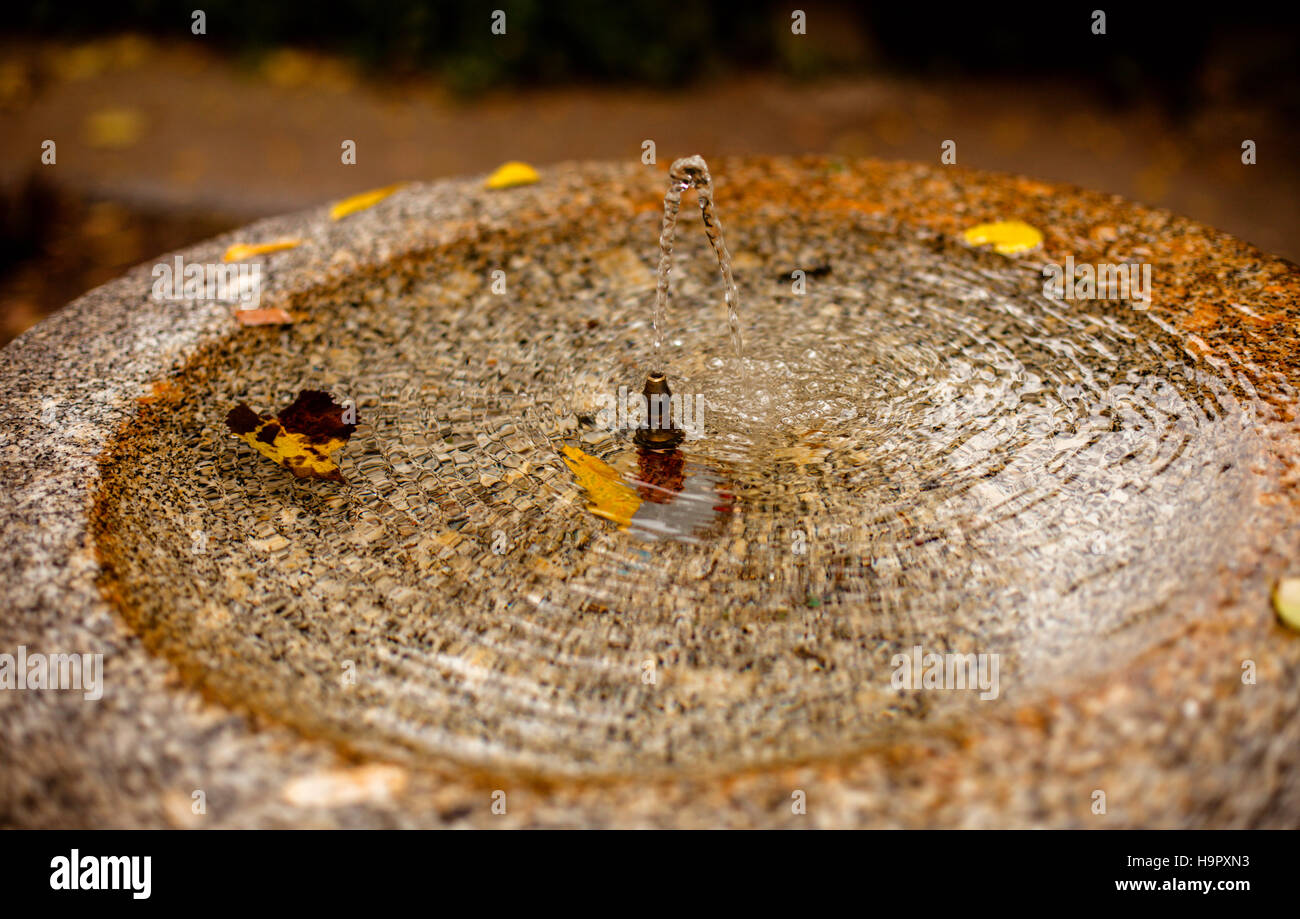 Small stone fountain with golden leaves on the water Stock Photo Alamy