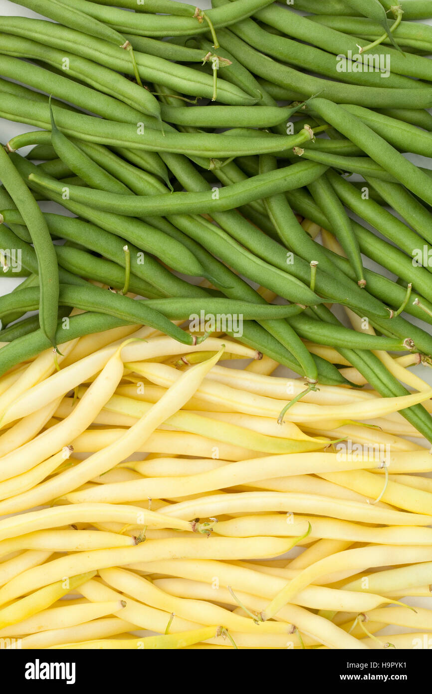 two heaps green and yellow beans lies on table Stock Photo