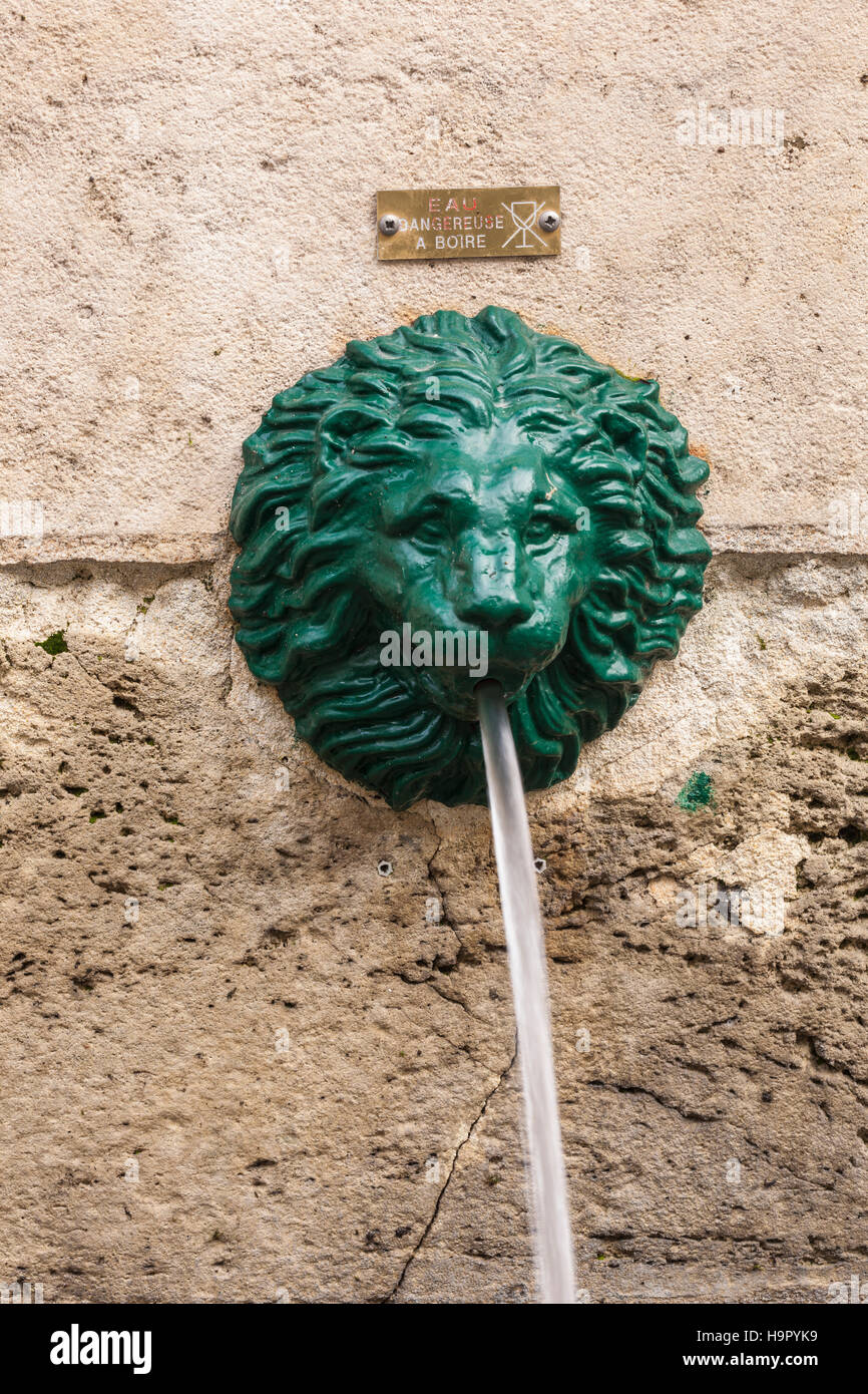 Lion's Head fountain spouting water. Stock Photo