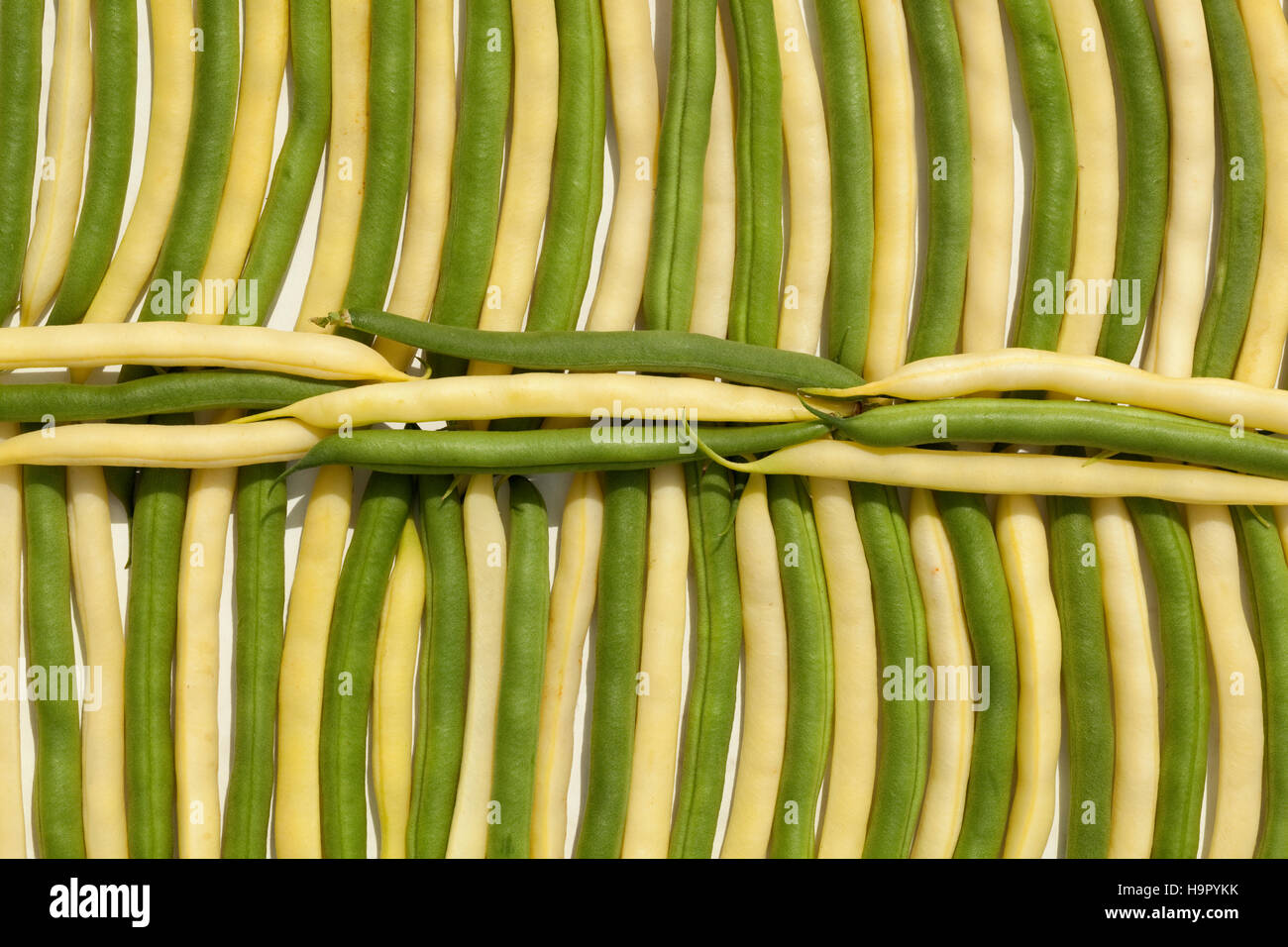 fresh green and yellow bean a arranged vertically Stock Photo