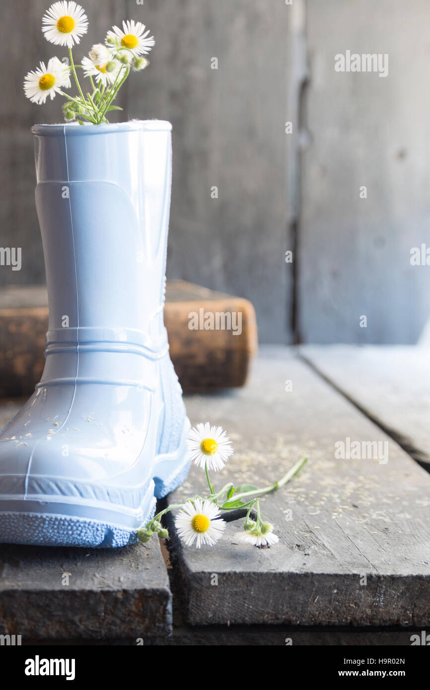 flower background, daisy and boots on a vintage table, Stock Photo