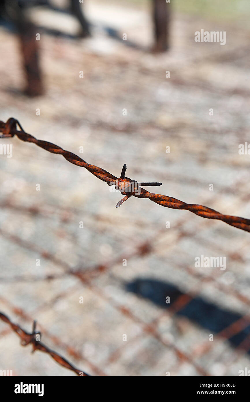 detail of barbed wire fence at former german nazi concentration camp stutthof east of Gdansk. Sztutowo, Poland, Europe Stock Photo