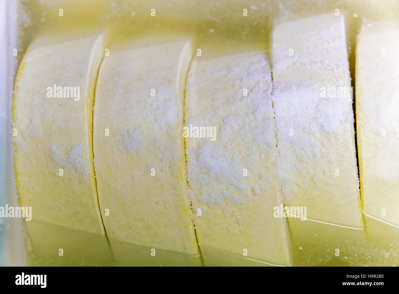 Gruyere de Comte fresh Cheese in bath with salt in Franche Comte dairy