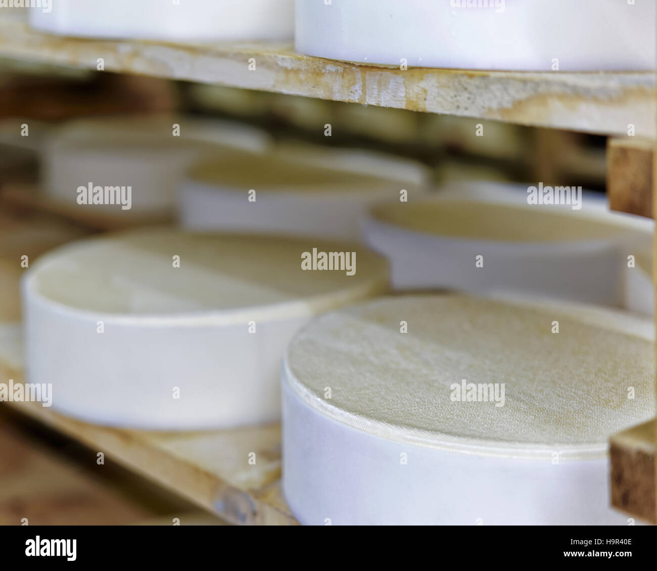 Shelf of young Gruyere de Comte Cheese in ripening cellar in Franche