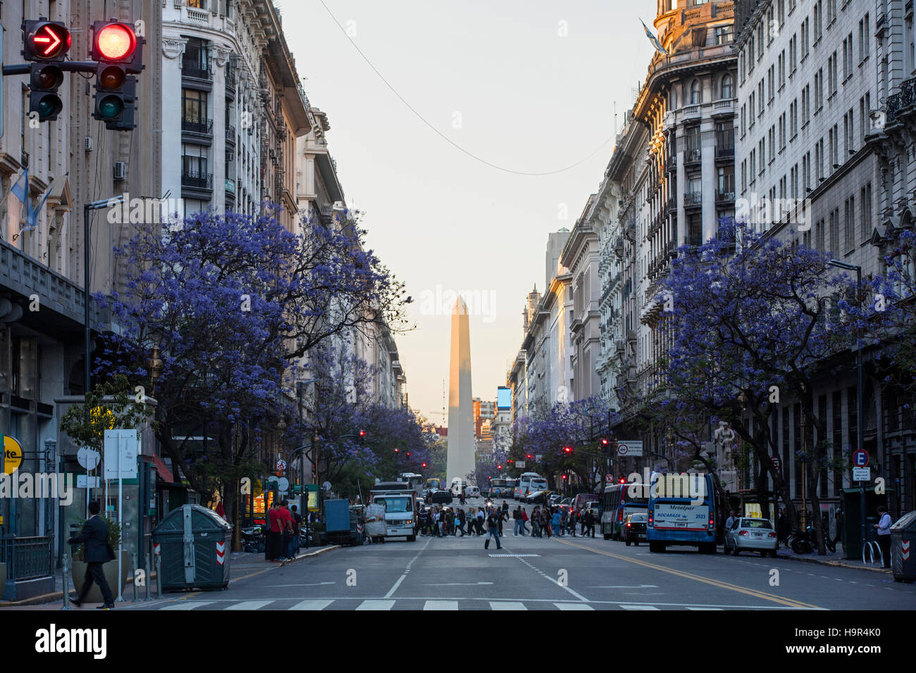 The Obelisk view from Plaza de Mayo with Jacaranda trees at the sunset. Buenos Aires, Argentina. Stock Photo