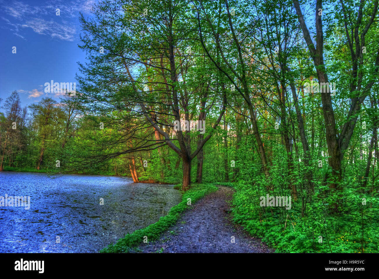 Summer landscape. Green trees around the lake Stock Photo - Alamy