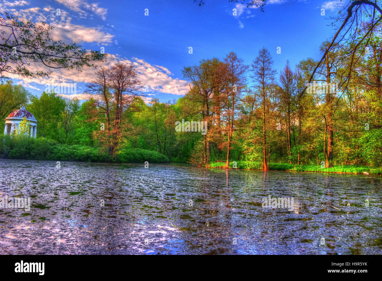 Summer landscape. Green trees around the lake Stock Photo - Alamy