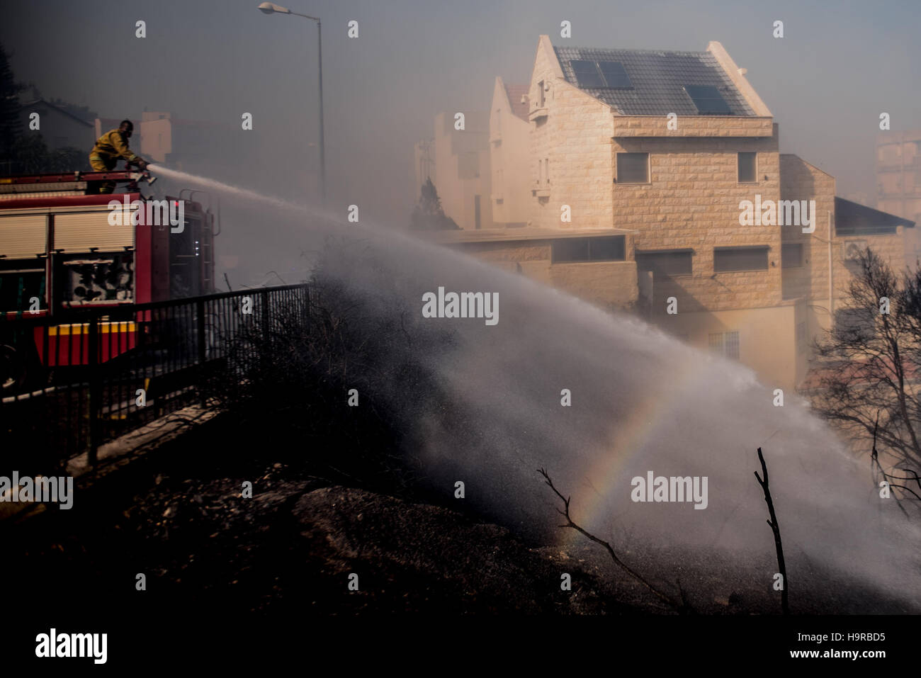 Haifa, Israel. 24th Nov, 2016. A firefighter tries to extinguish a fire in Haifa, Israel, Nov. 24, 2016. Fires on Thursday forced a widespread evacuation in Haifa. Tens of thousands of residents were forced to evacuate from around 11 neighborhoods in Haifa, along with Haifa University and many businesses. © Moran Mayan/JINI/Xinhua/Alamy Live News Stock Photo