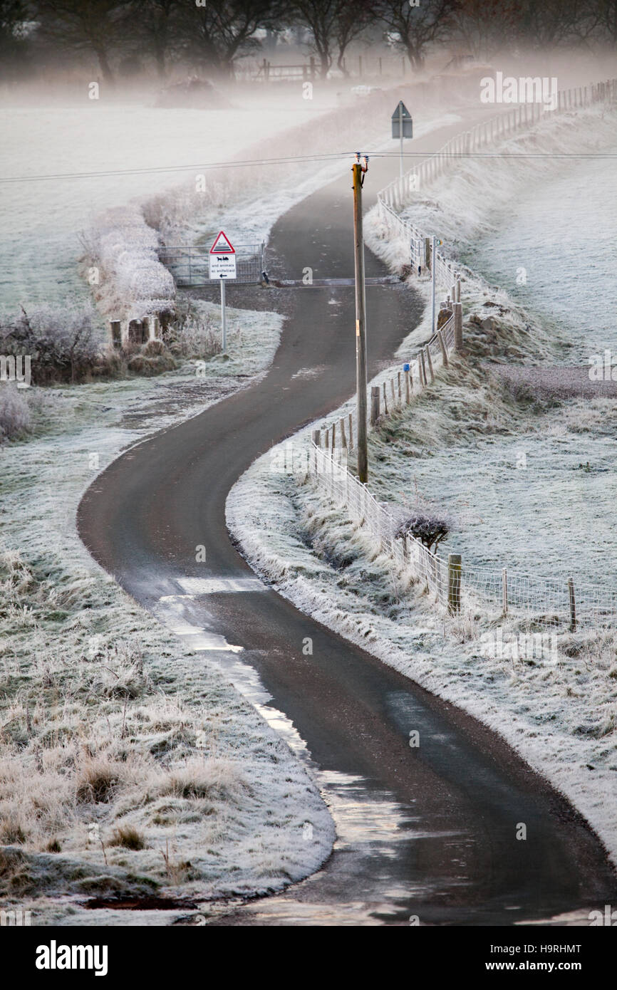A meandering lane passes through a frozen landscape on the outskirts of