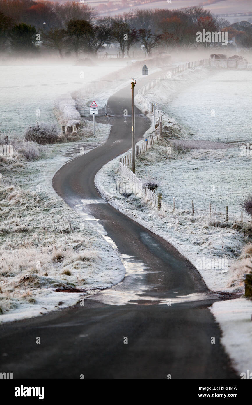 Moel y crio hires stock photography and images Alamy