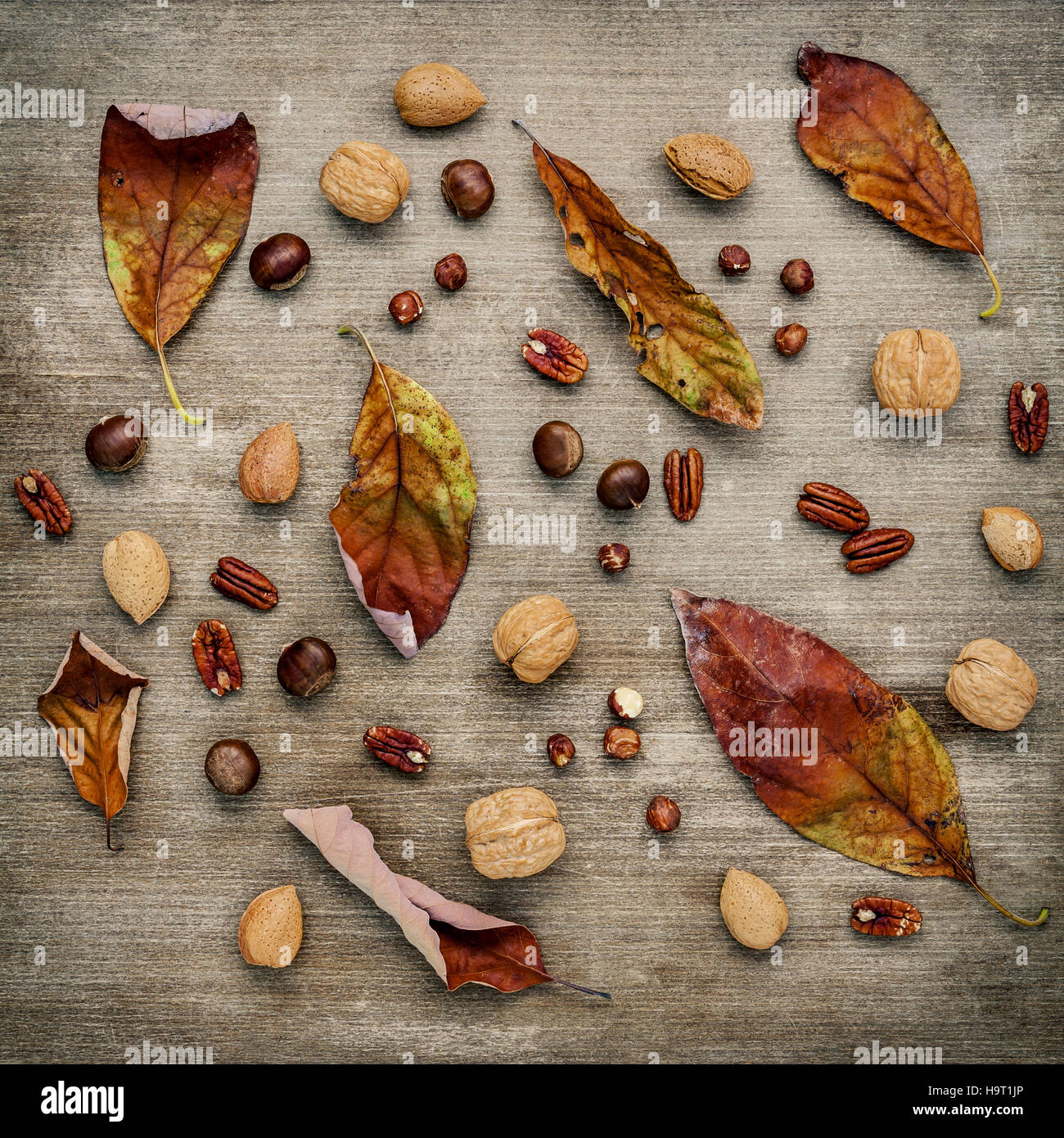 Different kinds of nuts walnuts kernels ,hazelnuts, almond kerne Stock