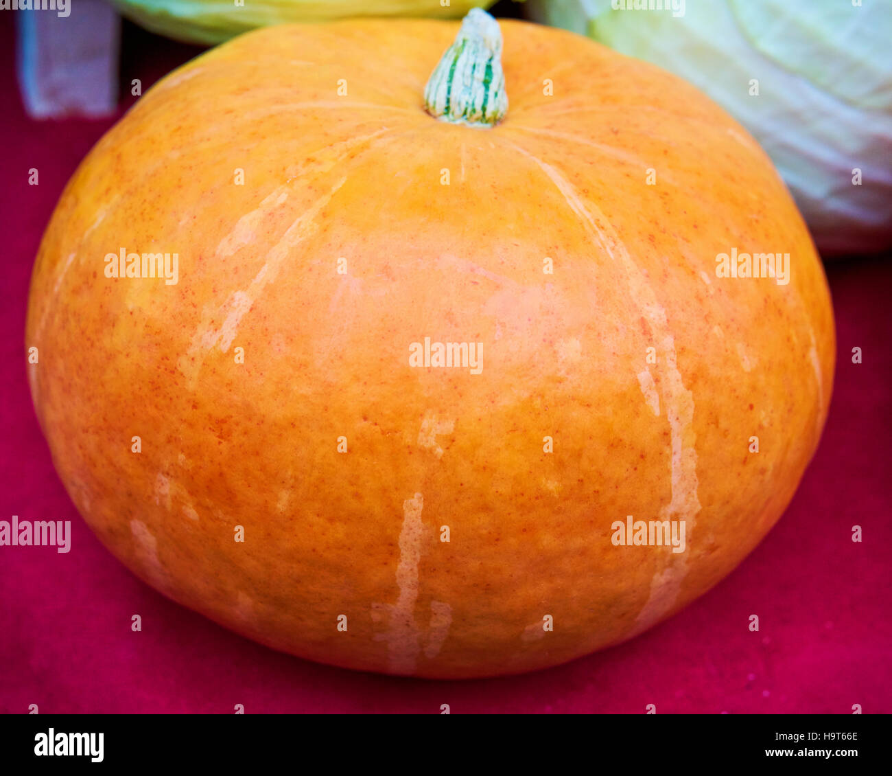 Ripe pumpkin background Stock Photo - Alamy