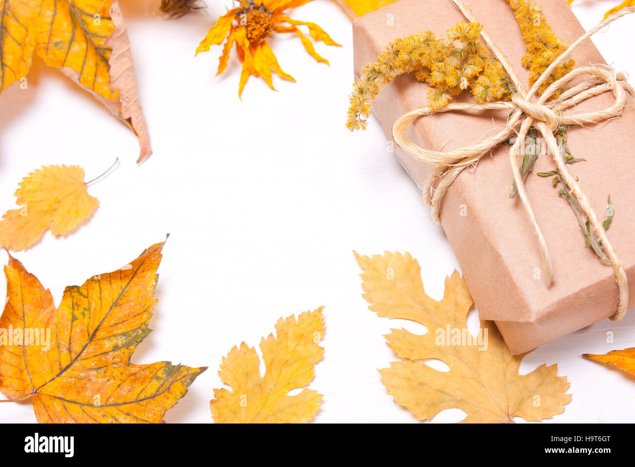 Present on the background blurred yellow leaves. Autumn composition. Top view, flat Stock Photo