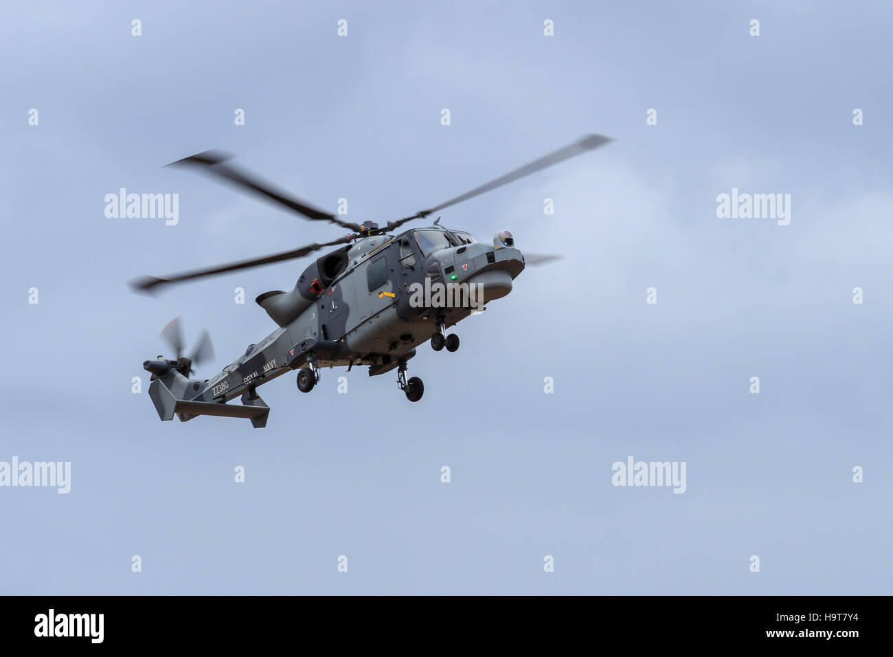 Royal Navy Augusta Westland Wildcat HMA.2  helicopter, one of the Black Cats display team performing at the southport airshow Stock Photo