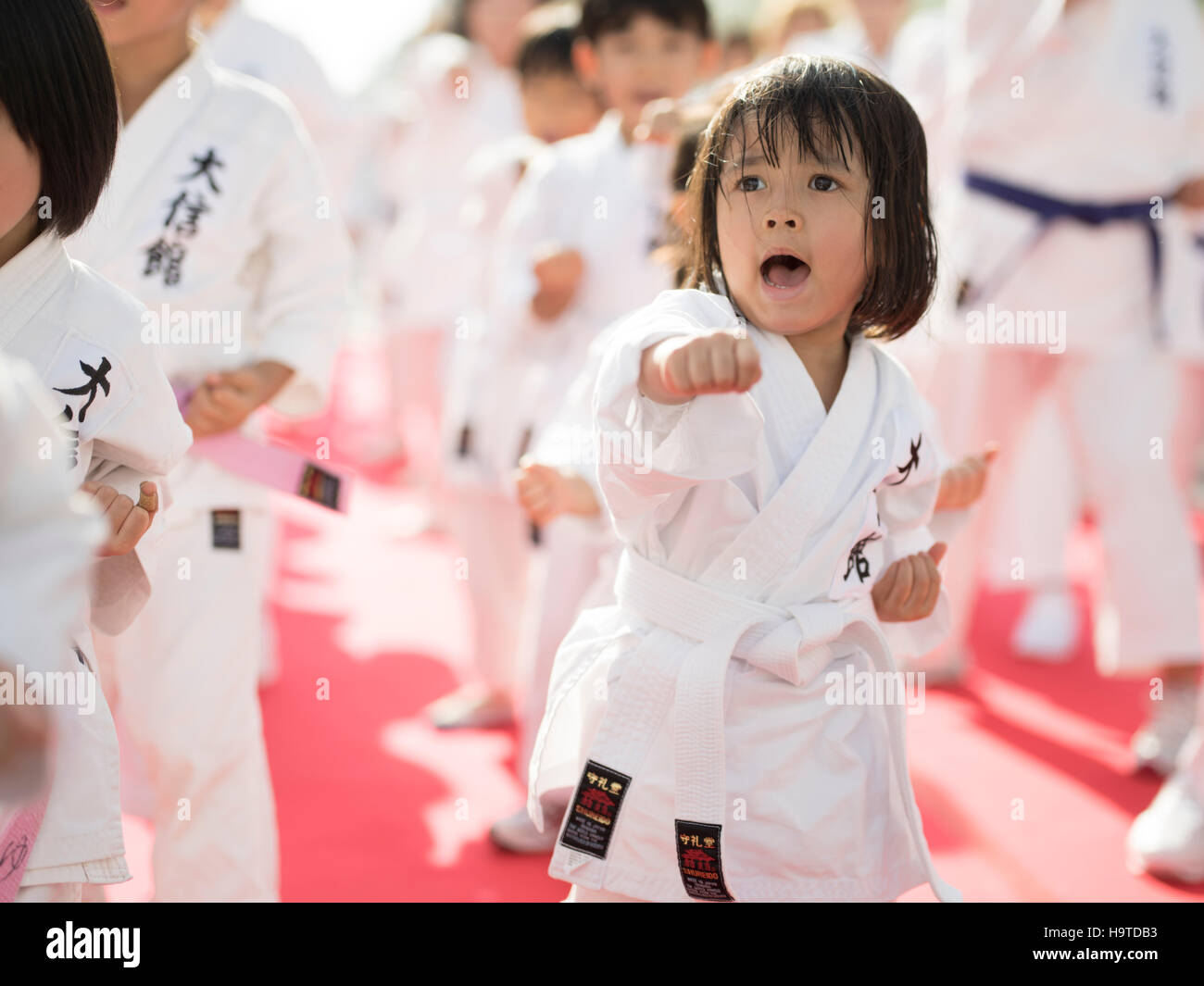 Guinness World Record for number of people performing a karate kata on