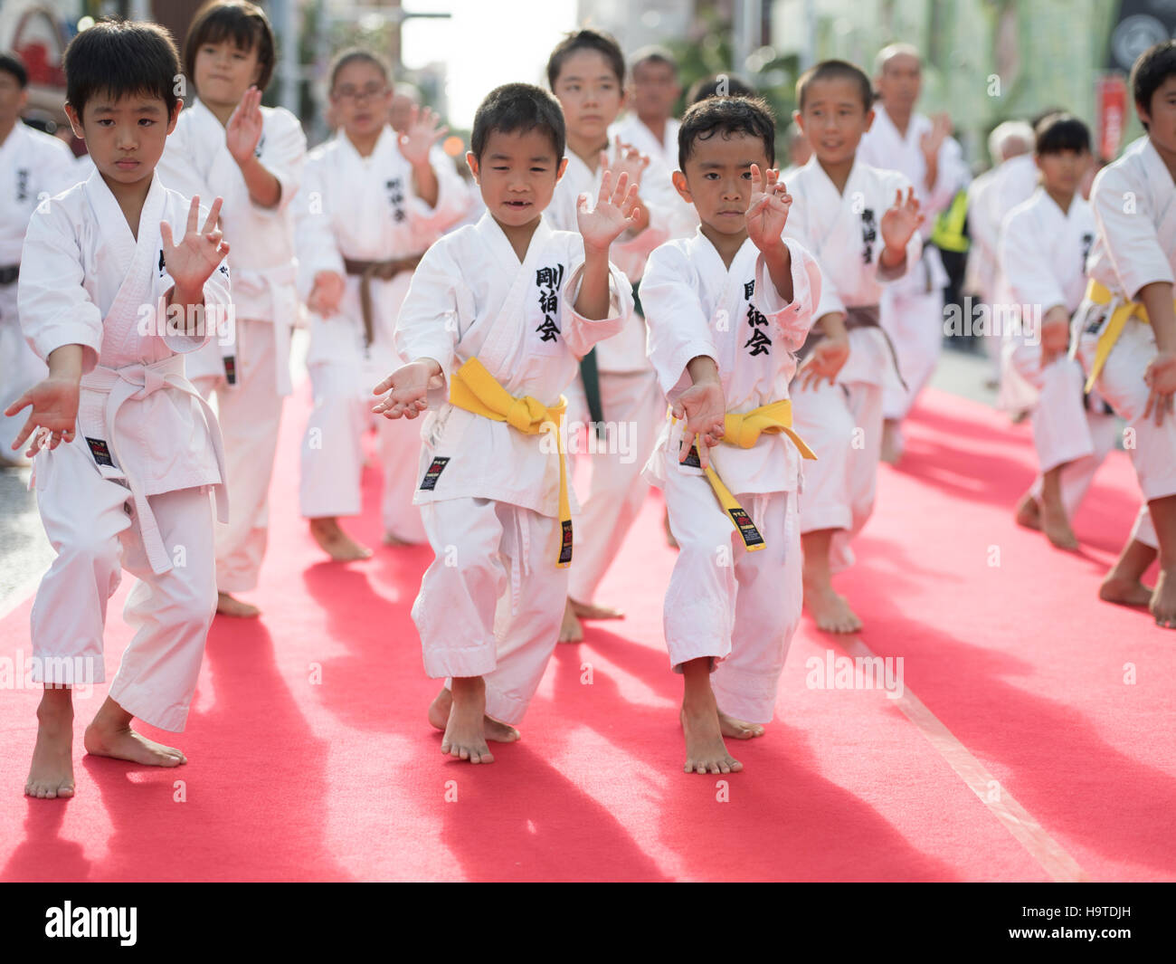 Guinness World Record for number of people performing a karate kata on