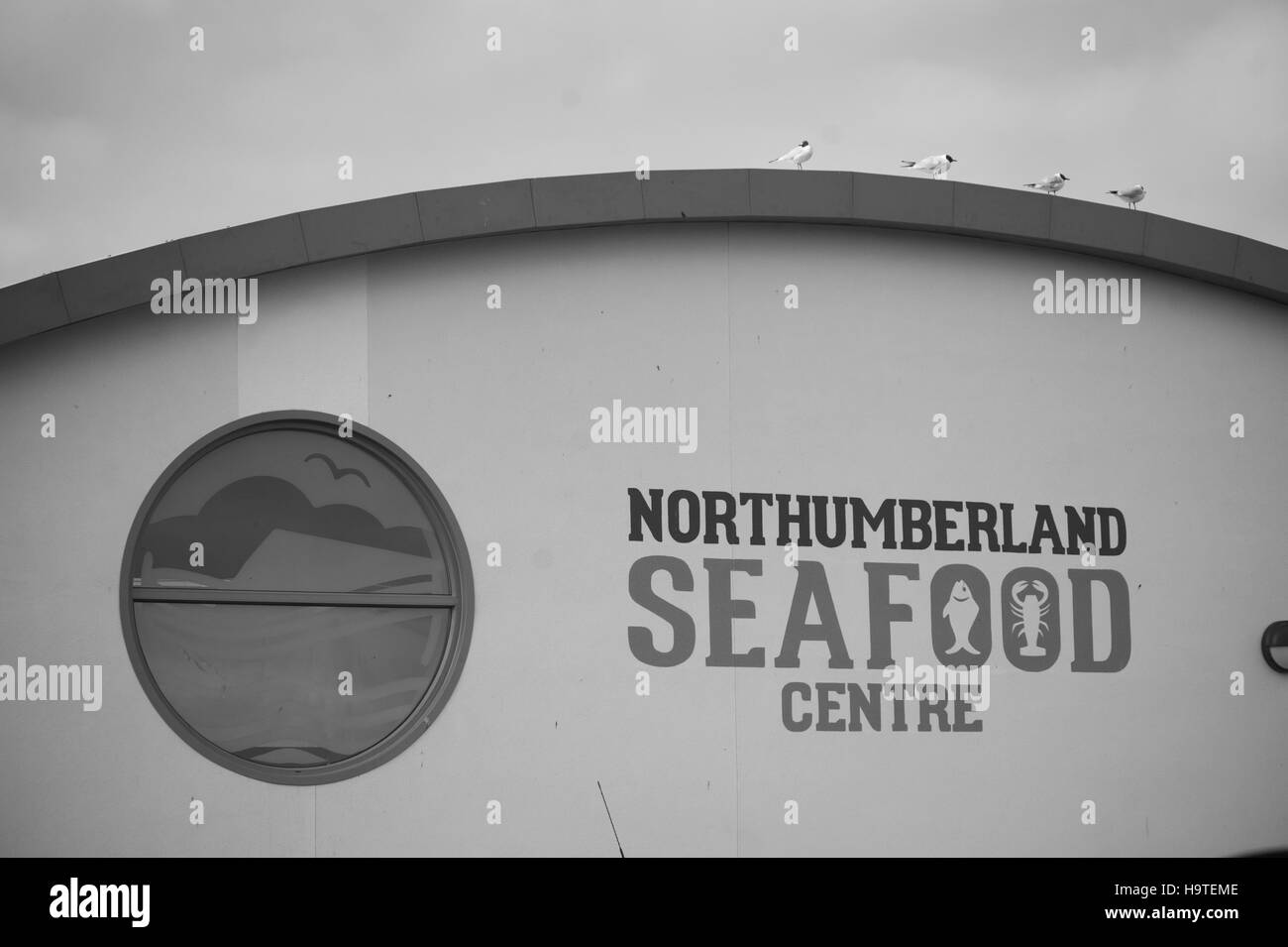 Northumberland seafood centre, Amble Stock Photo